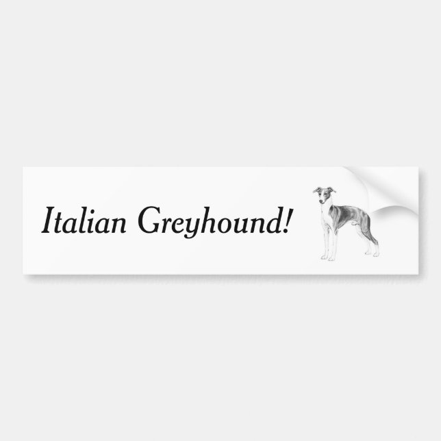 Italienska Greyhound Stil Bildekal (Framsidan)