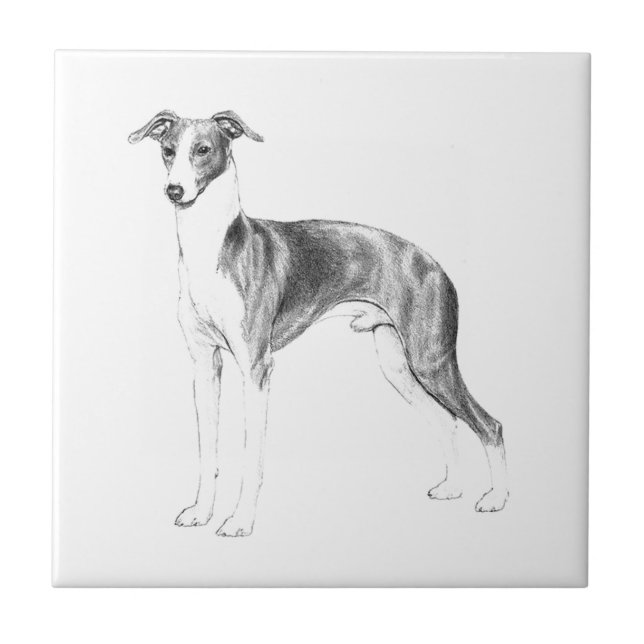 Italienska Greyhound Stil Kakelplatta (Framsidan)