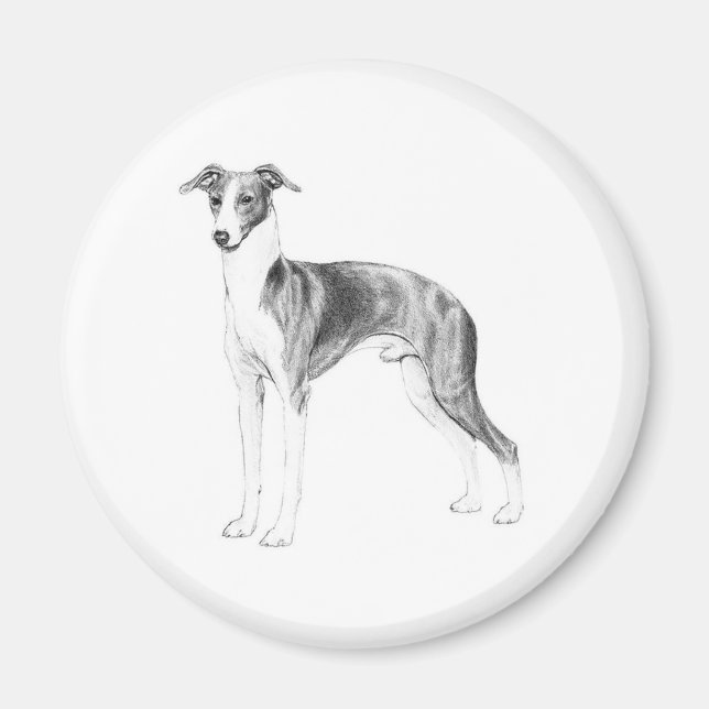 Italienska Greyhound Stil Magnet (Framsidan)