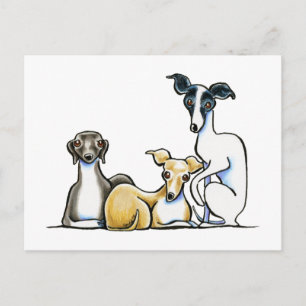 Italienska Greyhound Trio Vykort