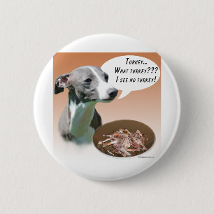 Italienska Greyhound Turkey Knapp
