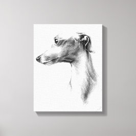Italienska Greyhound-vitboken hund porträtt teckni Canvastryck