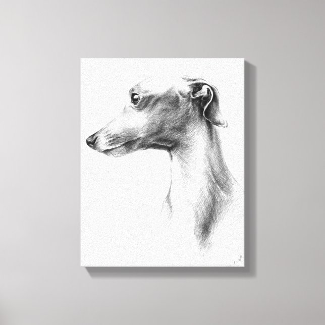 Italienska Greyhound-vitboken hund porträtt teckni Canvastryck (Framsida)