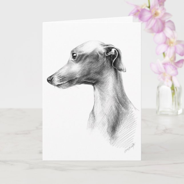Italienska Greyhound-vitboken hund porträtt teckni Kort (Orkide)