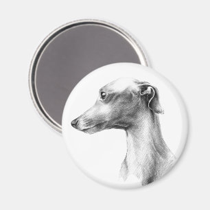 Italienska Greyhound-vitboken hund porträtt teckni Magnet