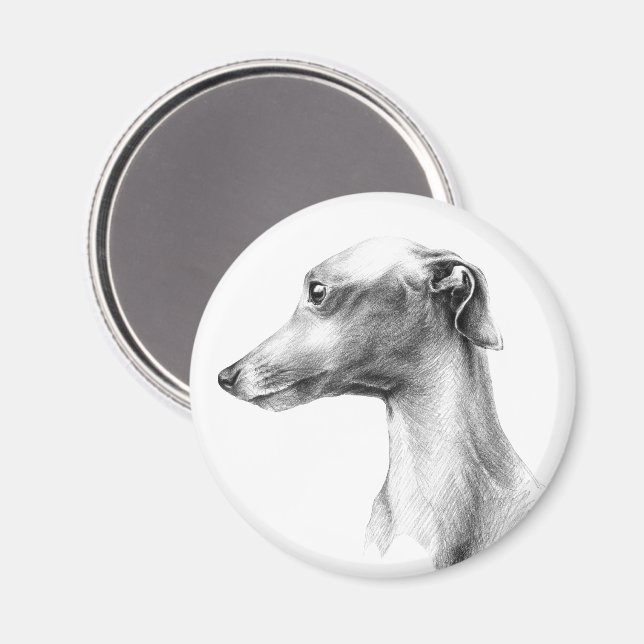 Italienska Greyhound-vitboken hund porträtt teckni Magnet (Front/Back)