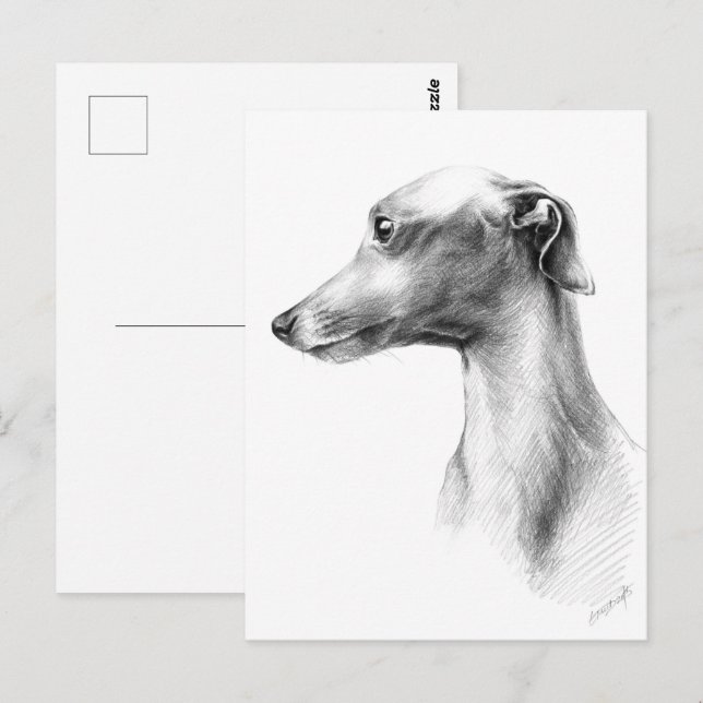 Italienska Greyhound Whibo hund art Vykort (Fram/baksida)