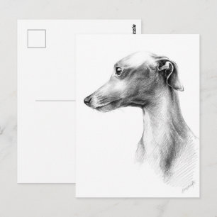 Italienska Greyhound Whibo hund art Vykort