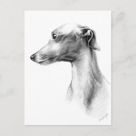 Italienska Greyhound Whibo hund art Vykort