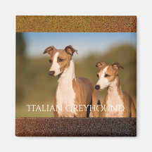 Italienska Greyhounds Magnet