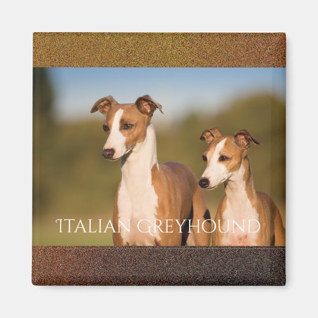 Italienska Greyhounds Magnet (Framsidan)