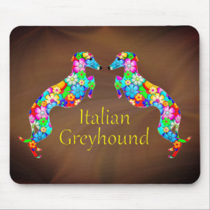 Italienska Greyhounds Musmatta