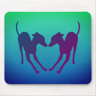 Italienska Greyhounds Playful IGs Musmatta
