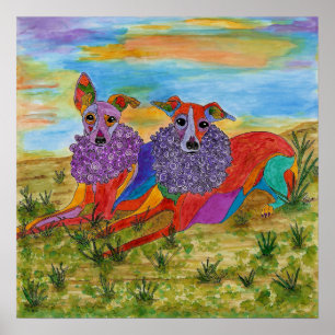 Italienska greyhounds Poster 19 x 13 tum (Anpassad