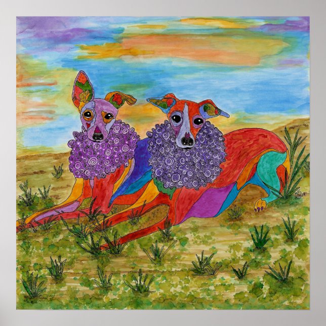 Italienska greyhounds Poster 19 x 13 tum (Anpassad (Framsidan)