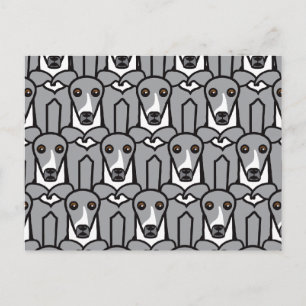 Italienska Greyhounds Vykort