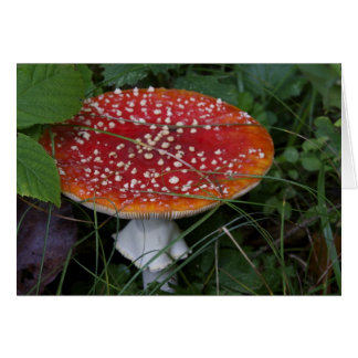 Italienska kort, Borgo Valsugana Hälsningskort