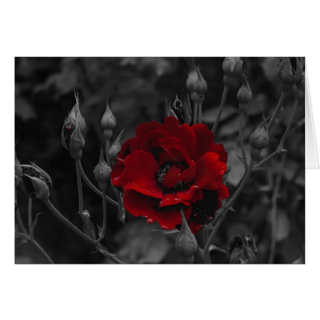 Italienska kort, Trento Hälsningskort (Framsidan Horizontal)