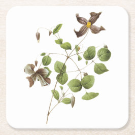Italienska läderblommor (Clematis) av Redouté Underlägg Papper Kvadrat