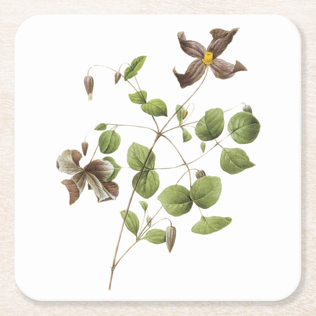 Italienska läderblommor (Clematis) av Redouté Underlägg Papper Kvadrat (Framsidan)
