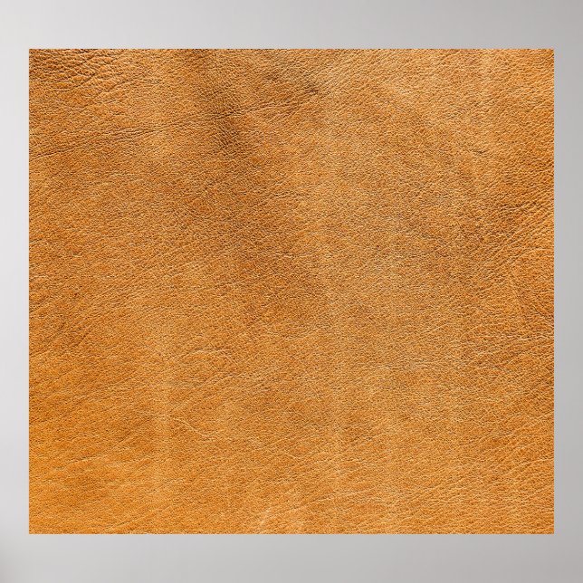 Italienska lambskin-läder: Vintage Struktur Poster (Framsidan)