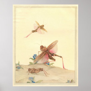 ITALIENSKA LOCUSTS - Insekt Bok Illustration Poster