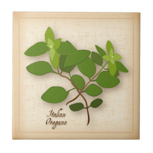 Italienska Oregano Herb Kakelplatta