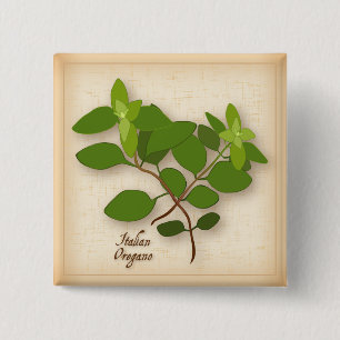 Italienska Oregano Herb Knapp