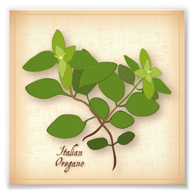 Italienska Oregano Photo Print Fototryck (Framsidan)