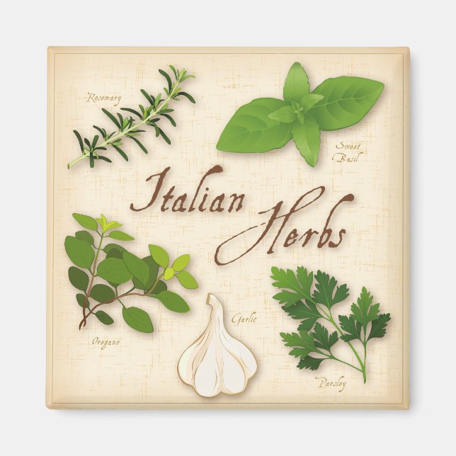 Italienska Örter, Basil, Oregano, Parsley, Vitlök Magnet (Framsidan)