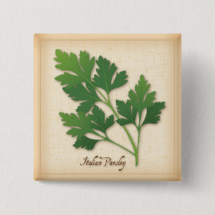 Italienska parsley Herb Knapp