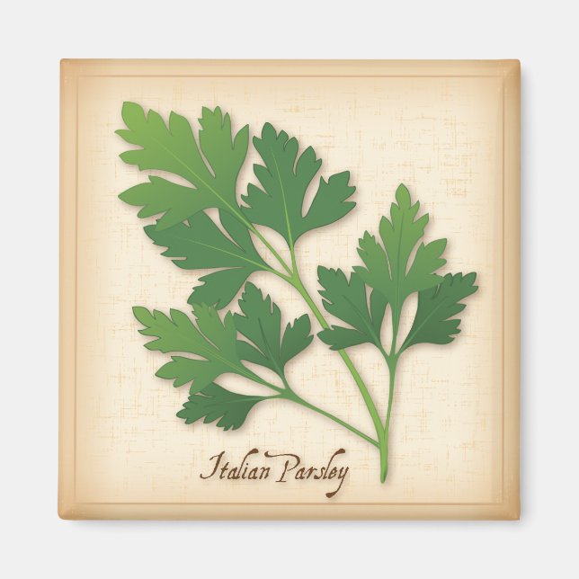 Italienska parsley Herb Magnet (Framsidan)
