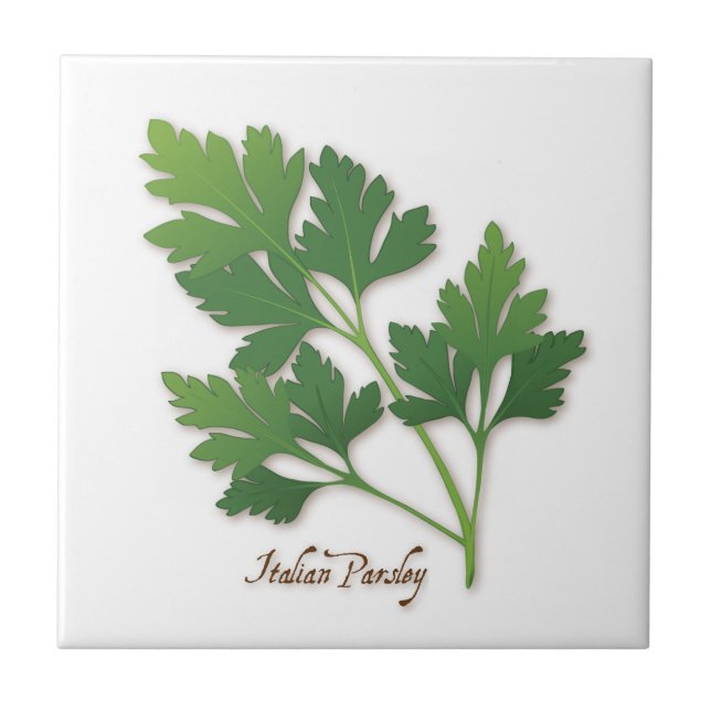 Italienska parsley Herb Tile Kakelplatta (Framsidan)