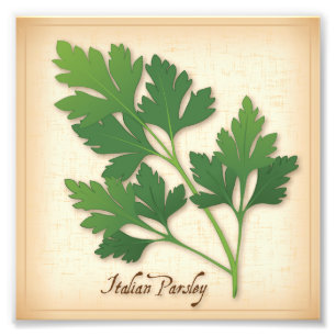 Italienska parsley Photo Print Fototryck