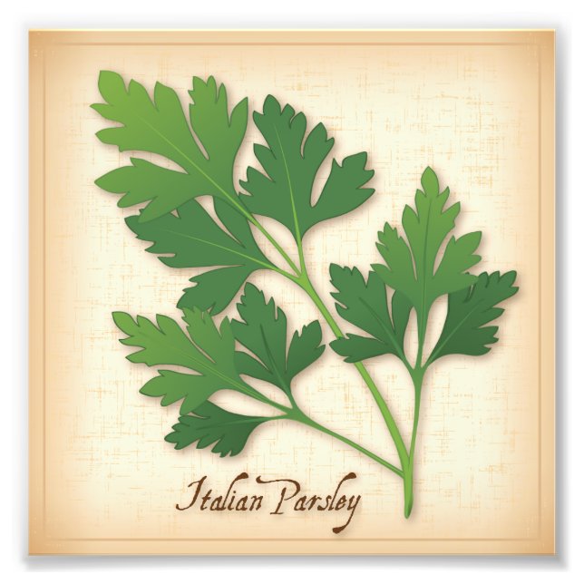 Italienska parsley Photo Print Fototryck (Framsidan)
