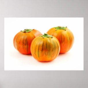 Italienska rödäggplanta poster