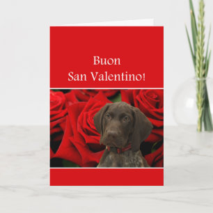 Italienska San Valentino Glossy Grizzly Valentine Helgkort