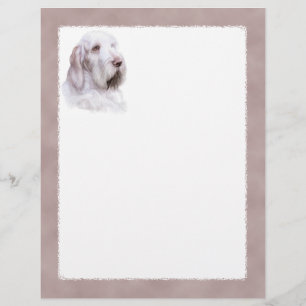 Italienska Spinone Italiano