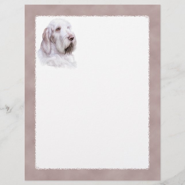 Italienska Spinone Italiano (Framsida)
