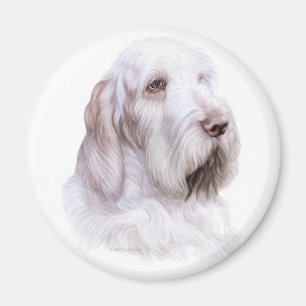 Italienska Spinone Italiano Magnet