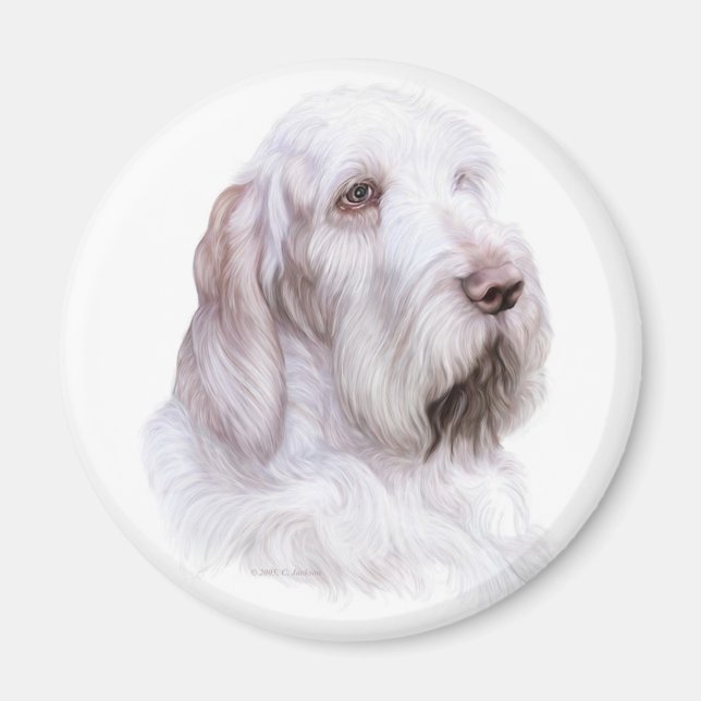 Italienska Spinone Italiano Magnet (Framsidan)