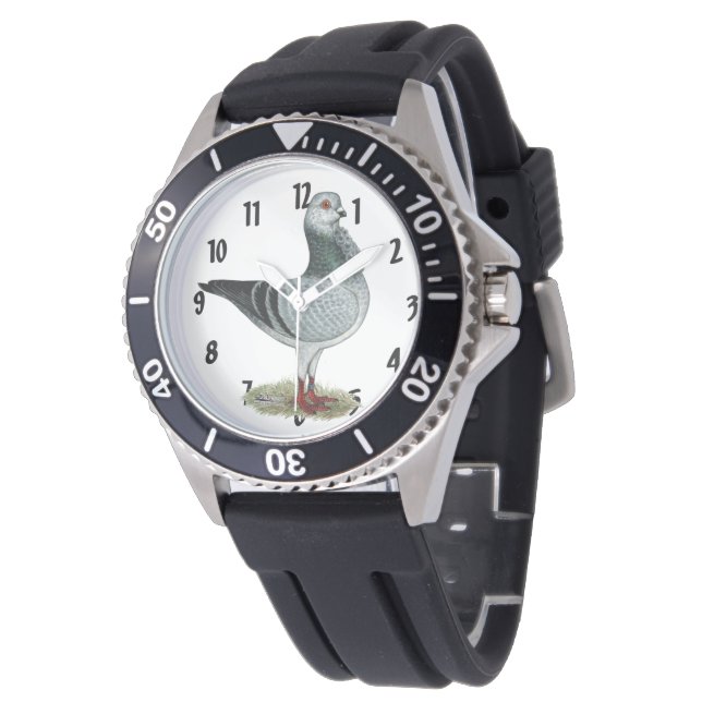 Italienska Uggla Grizzle Pigeon Armbandsur (Vinklad)