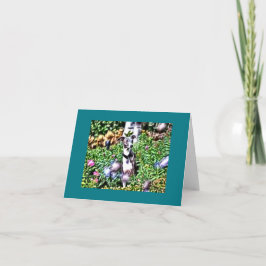 Italienskt greyhound i Garden Note Card Kort