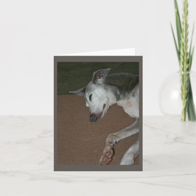 Italienskt greyhound-kort nr 2 kort (Framsida)