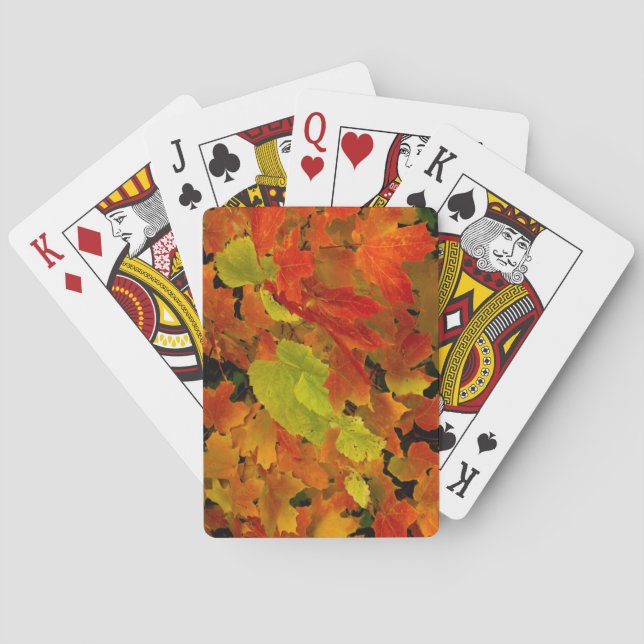 Itasca State Park, höstfärger Spel Kort (Baksidan)