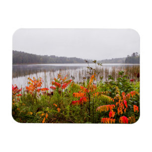 Itasca State Park Minnesota Magnet