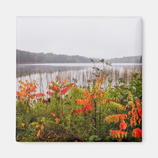 Itasca State Park | Minnesota Magnet (Framsidan)