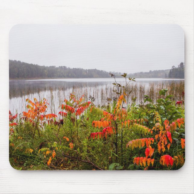 Itasca State Park | Minnesota Musmatta (Framsidan)