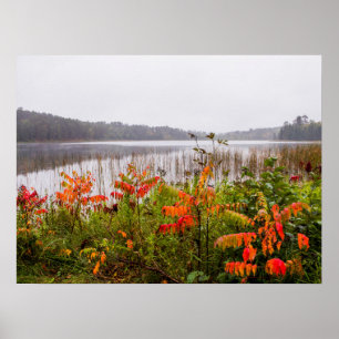 Itasca State Park Minnesota Poster