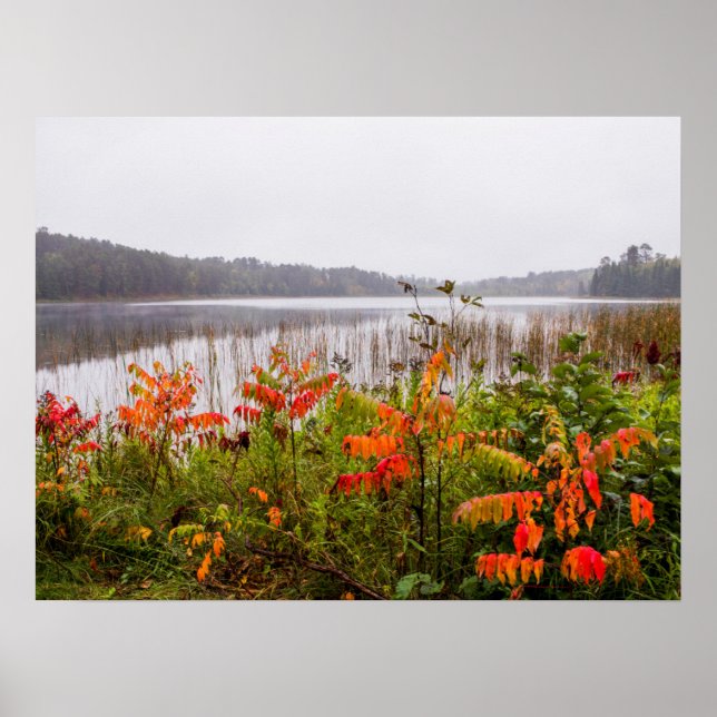 Itasca State Park | Minnesota Poster (Framsidan)
